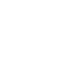 Remote Detonator