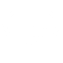 Shield System